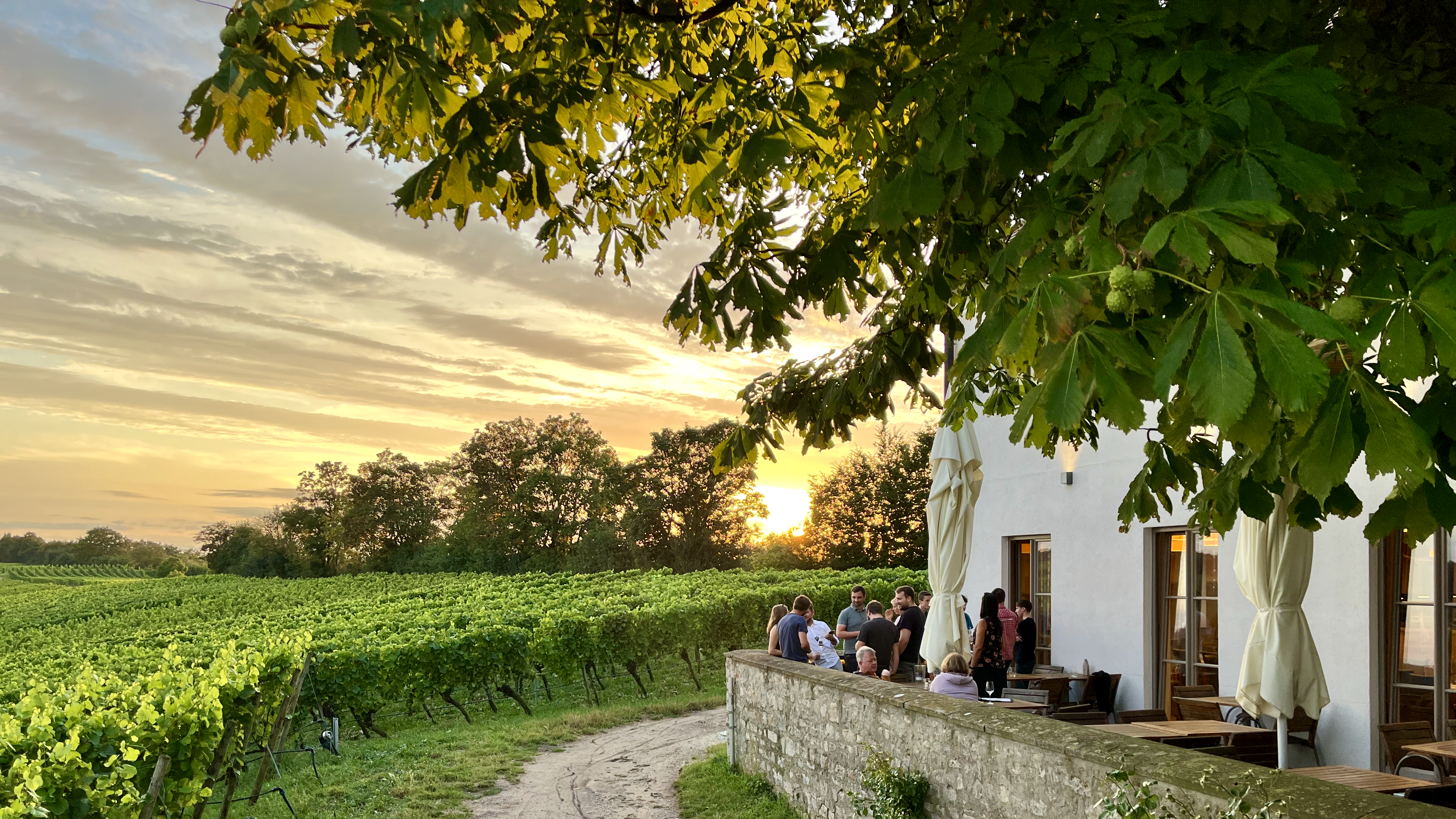 Team GEOVISION genießt die Abendstimmung auf dem Weingut bei Würzburg